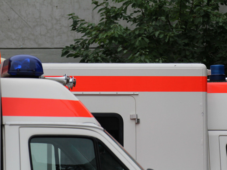 10-летняя девочка упала в реку и погибла в Новой Зеландии