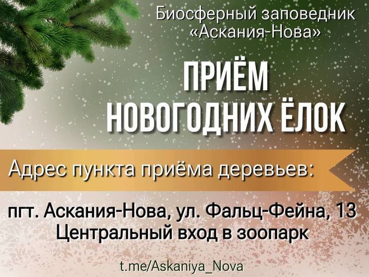 Заповедник «Аскания-Нова» объявила сбор елок на корм животным
