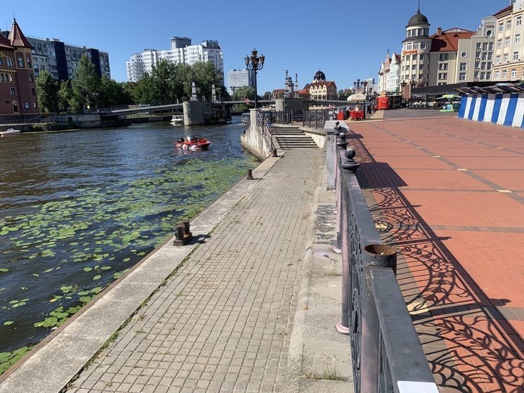 Власти Калининграда хотят сдать в аренду 46-метровый причал на Преголе