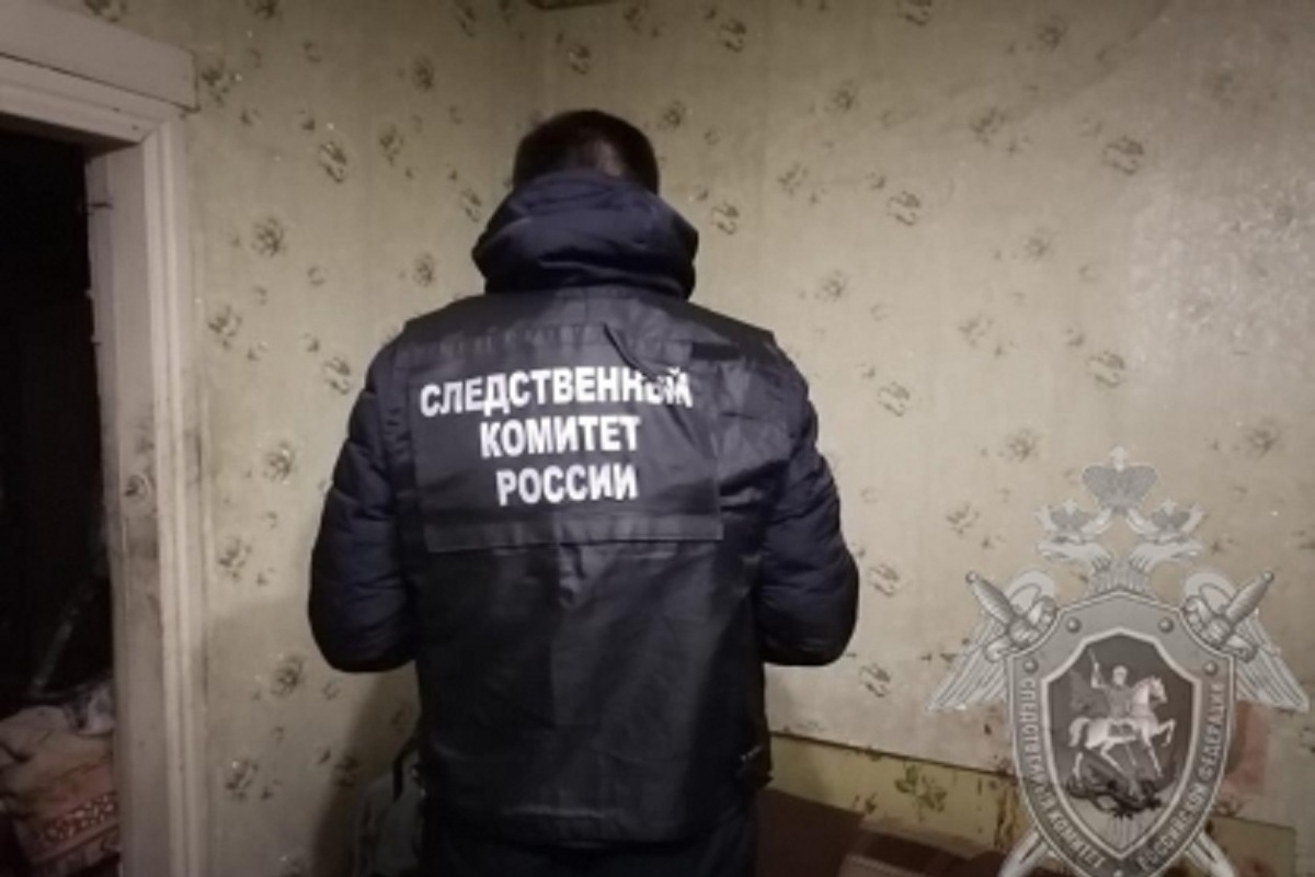 Костромич, убивший своего помощника по хозяйству, заключен под стражу