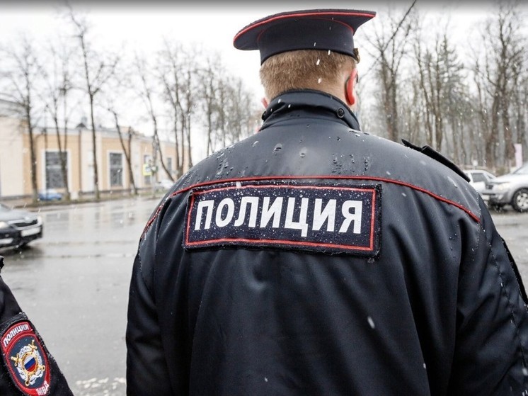Пскович  ограбил семилетнюю девочку в подъезде дома