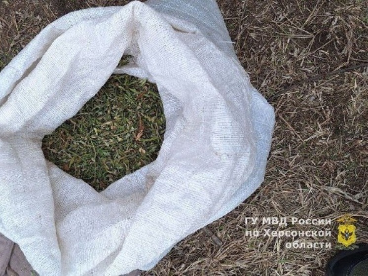 Житель Алёшкинского района на Херсонщине хранил марихуану