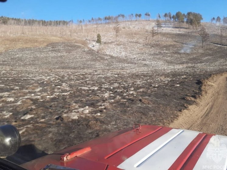 Первый ландшафтный пожар ликвидировали в Забайкалье 25 января