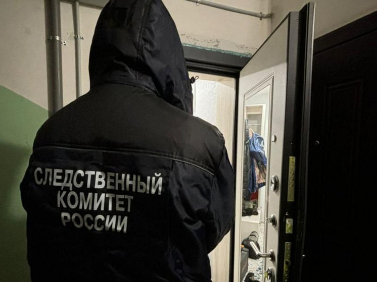 Мёртвая семья на Академика Павлова: в СК раскрыли новые детали ЧП в Туле