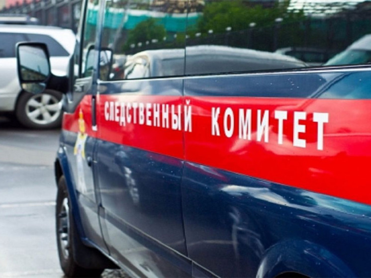 На гендиректора одной из металлургических компаний Орловской области возбуждено уголовное дело