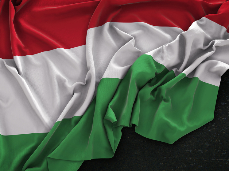 Forbes: 98% венгров выступают против поставок оружия Украине