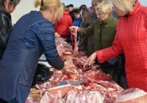 Фермеры Агинского бурятского округа Забайкальского края заявили о желании импортировать говядину собственного производства в Китай, а лошадей буденовской породы – в Монголию