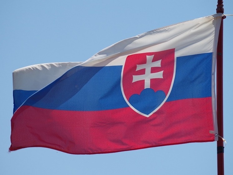 В Словакии прошли антиправительственные митинги против реформы уголовного законодательства
