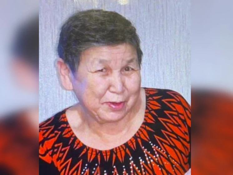 В поселке Тикси Якутии во время метели пропала пожилая женщина