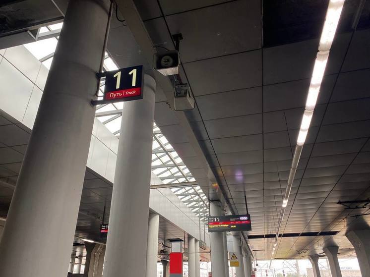 На Ладожском вокзале с 30 января изменится расписание электричек