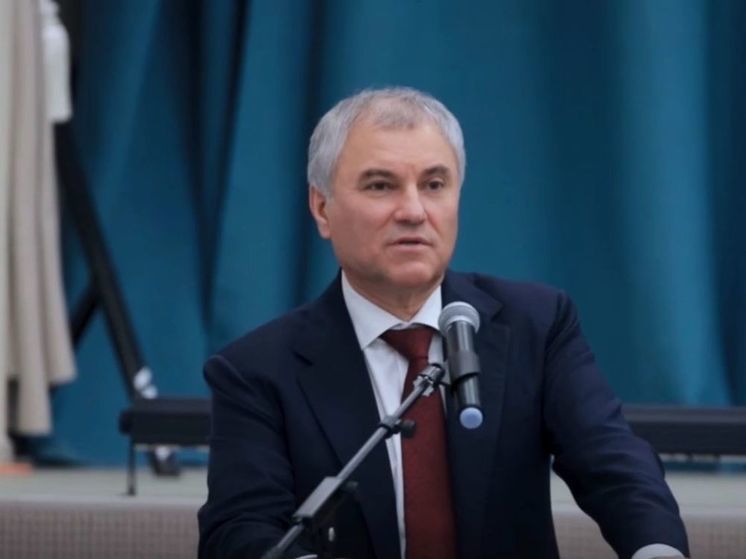 «Полно жуликов»: Володин объяснил, почему в Воробьëвке до сих пор нет дорог и воды