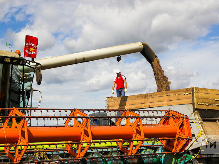 В прошлом году Татарстан экспорт зерна повысил на 59 процентов