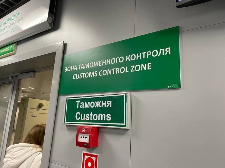 Тульские таможенники открыли 17 уголовных дел в 2023 году