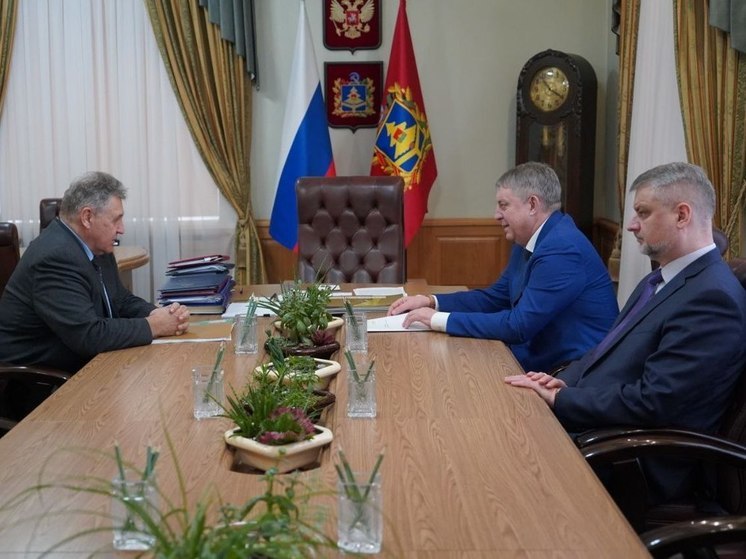Брянский губернатор встретился с руководителем Ростехнадзора