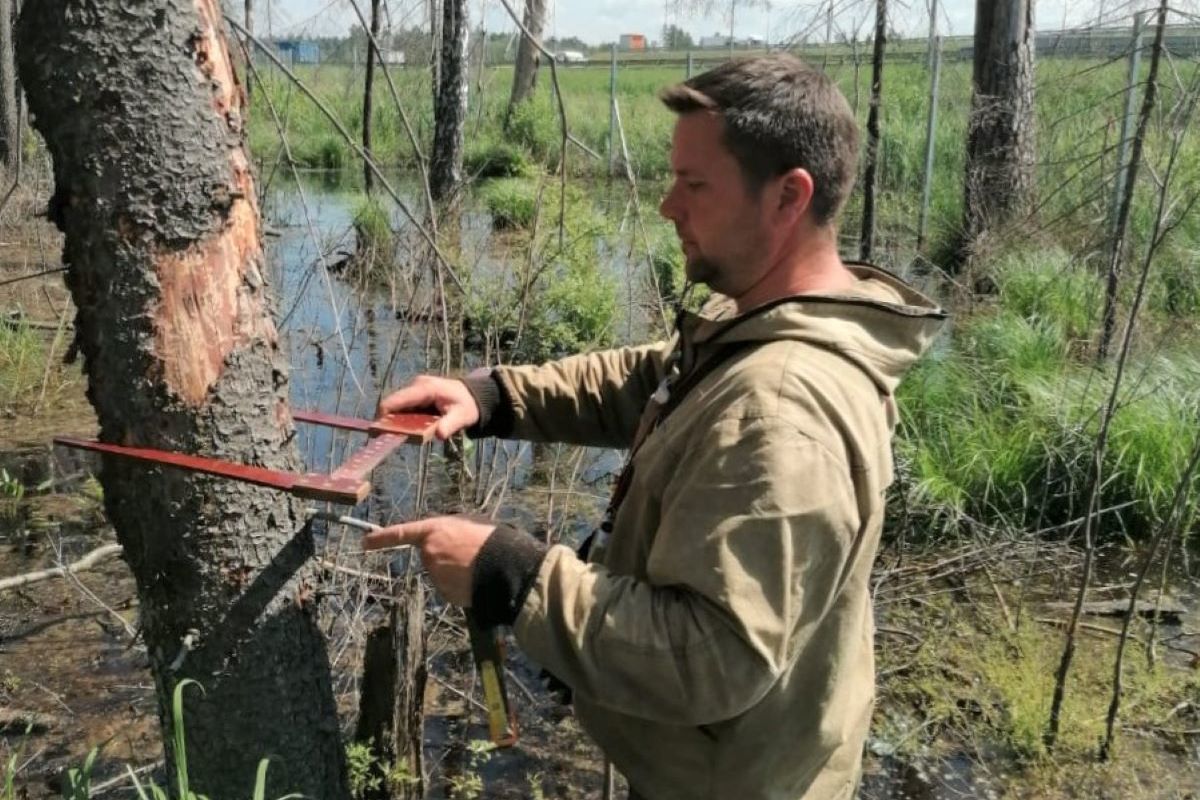 изменение мрот по годам таблица россия. региональный мрот московская область 2024. мрот в москве таблица по годам. региональный мрот московская область 2024. прожиточный минимум на 2022 год.