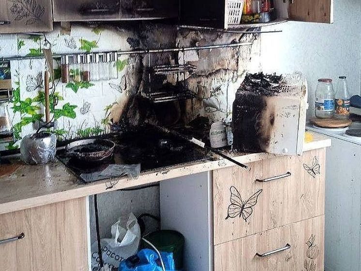 В Уфе кошки включили плиту и устроили пожар