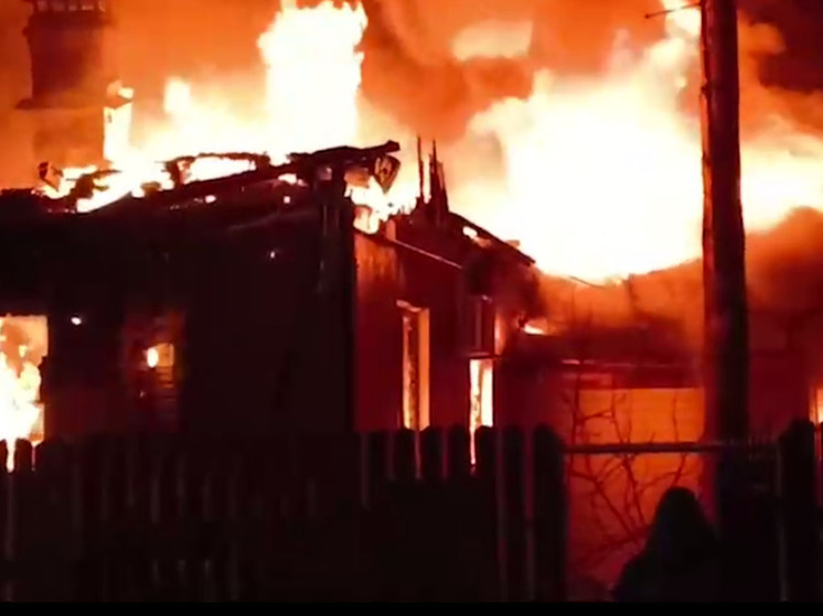 В Ступино подростки спалили дом вместе с пожилой женщиной