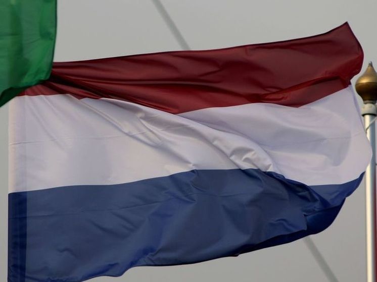 RTL Nieuwspanel: 62% жителей Нидерландов опасаются нападения России