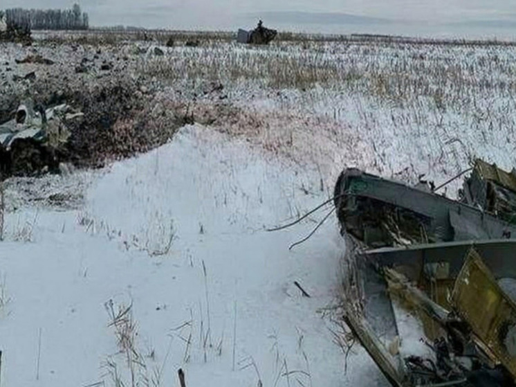 Халперн: отказ Украины признать вину по Ил-76 показывает, что Киеву можно все