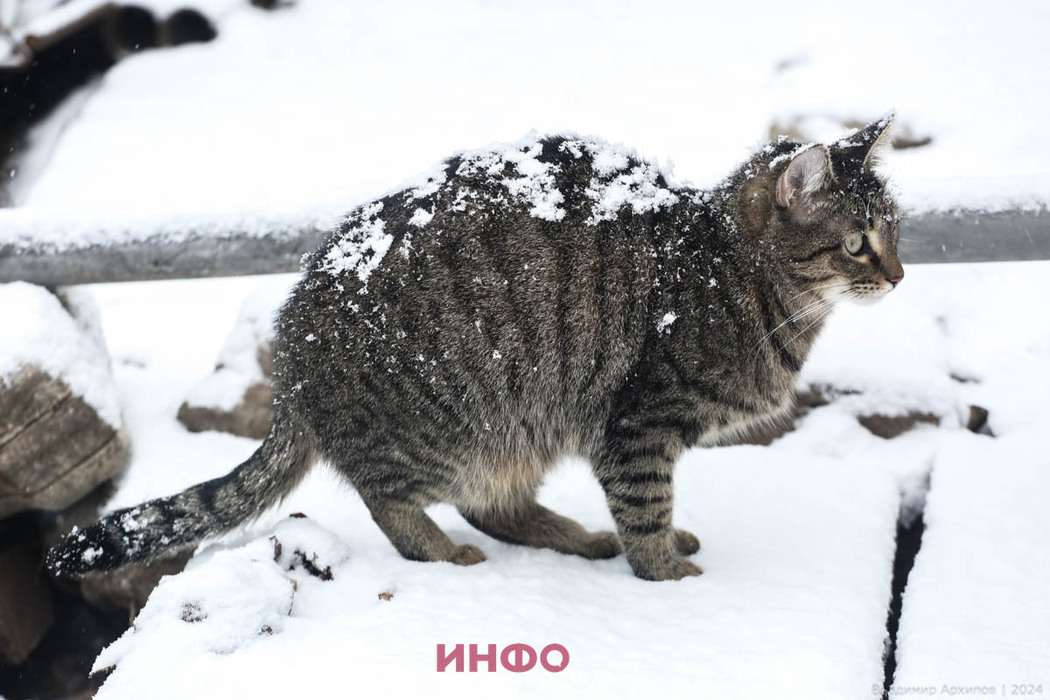 photography / смешные картинки и другие приколы: комиксы, гиф анимация, видео, л