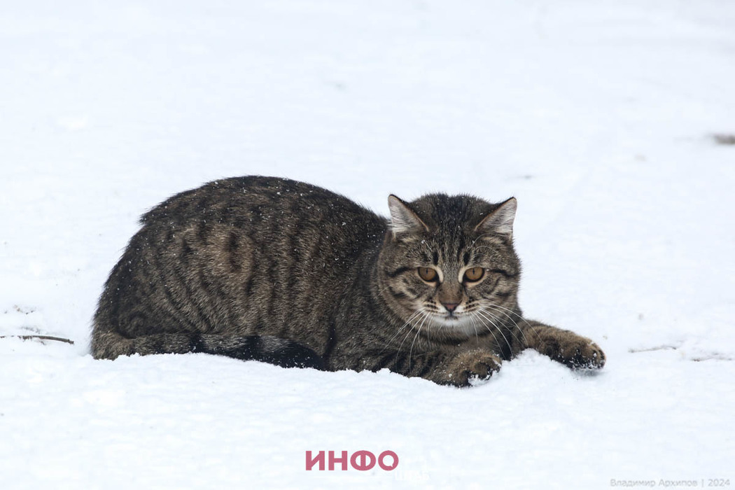 фотки / смешные картинки и другие приколы: комиксы, гиф анимация, видео, лучший