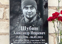 Луганчанам придется изготовить и установить новую доску в память об Александре Шубине

