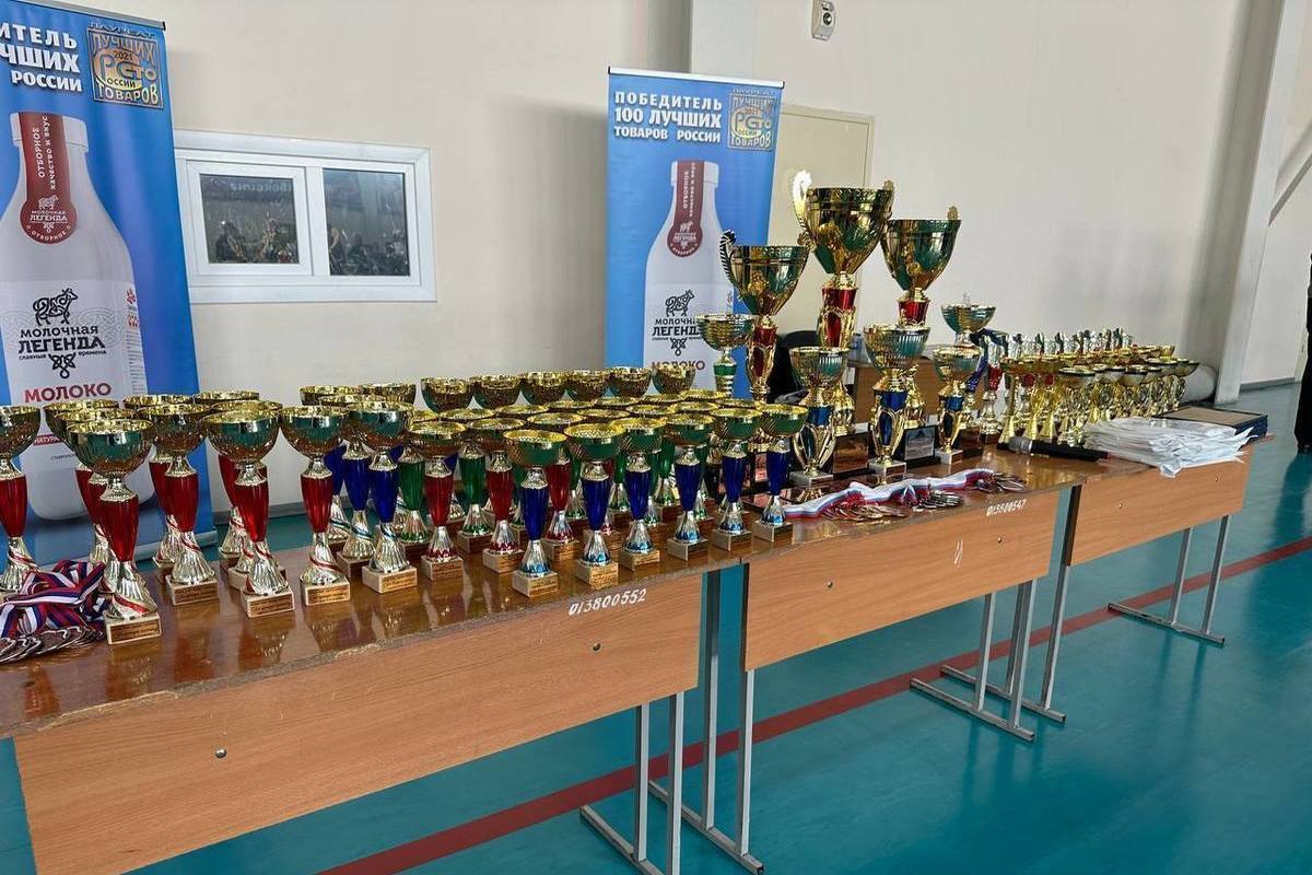 The Regional Kickboxing Championship and Championship started in Kislovodsk