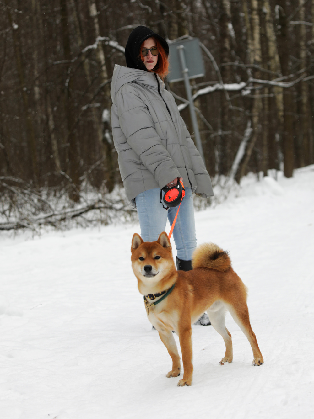 собака зимой. собака в сугробе. собака зимой. собака в снегу. собачка бигль.