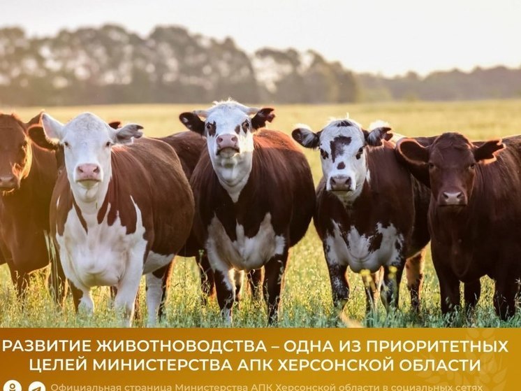 МинАПК Херсонской области способствует развитию молочного животноводства
