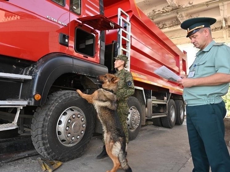 В прошлом году Хабаровска таможня выявила более 1500 правонарушений
