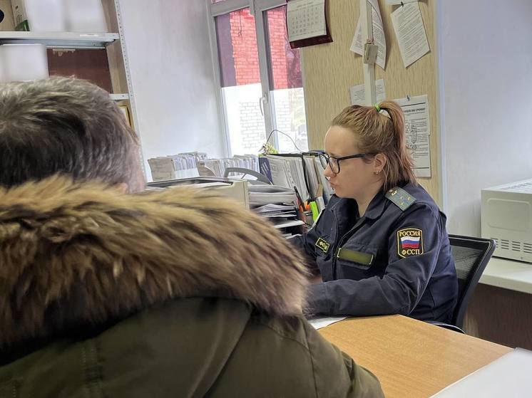 воспрепятствование деятельности судебных приставов. принудительные общественные работы. женщины на исправительных работах. елена романова тамбов судебный пристав. судебный пристав обязательные работы.