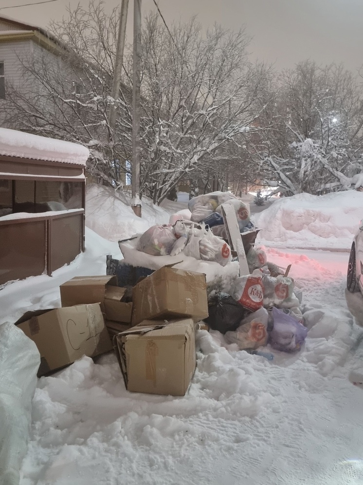 В Салехарде коммунальщики не могут оперативно вывозить мусор из-за заваленных снегом дворов