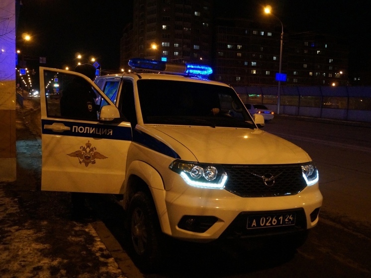 Мигрант признался в убийстве женщины с 5-летним ребенком в Новосибирске