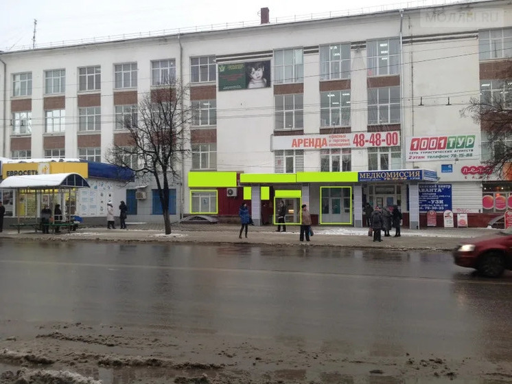 На месте спиленных деревьев в районе остановки «Чайка» появятся новые
