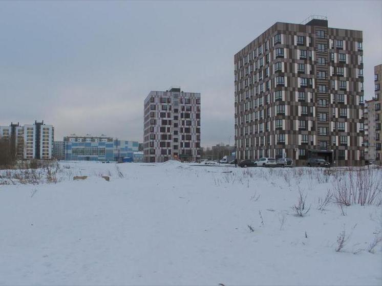 В новгородском парке «Чистые пруды» построят площадку для выгула собак