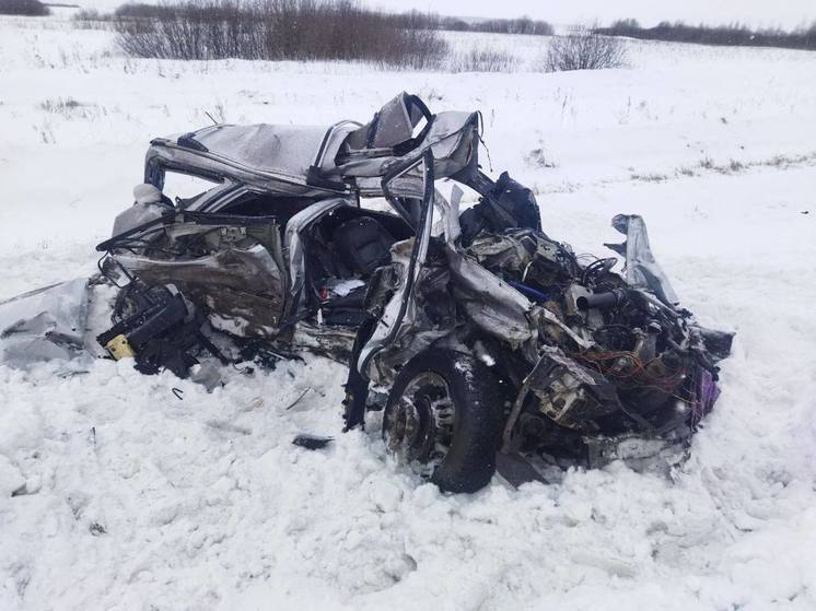Два человека погибли в жутком ДТП с грузовиками в Тюменской области
