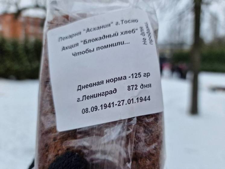 В Тосненском районе провели акцию «Блокадный хлеб»