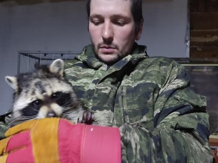 Уфимец создал сайт по пристрою домашних животных