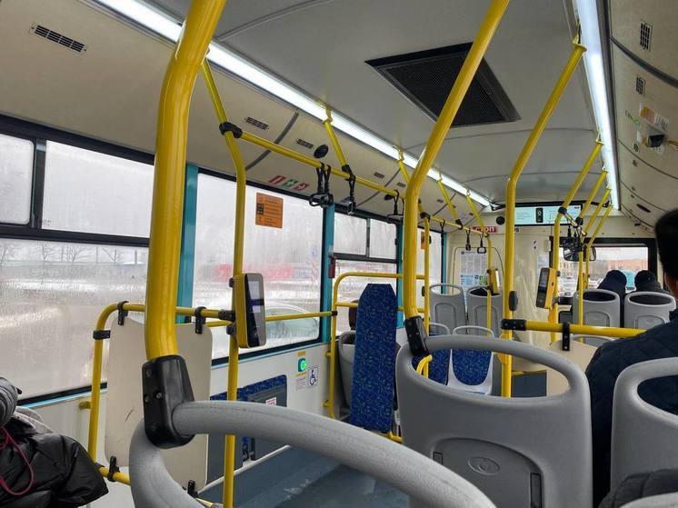 Из Новосаратовки запустят автобус № 693 к петербургским станциям метро 29 января