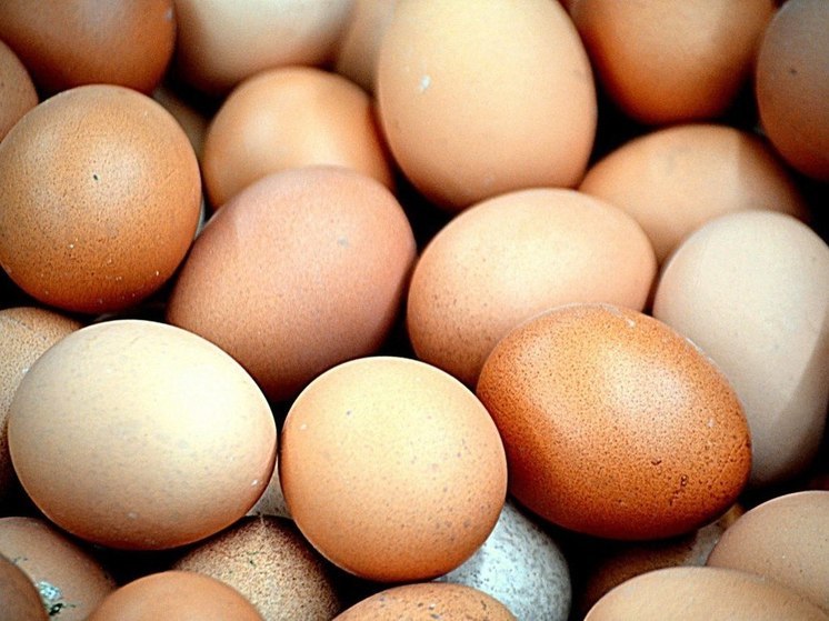 Стало известно, как будет формироваться цена на иностранные яйца в Хакасии