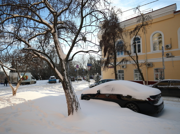 В Волгограде спрогнозировали температуру выше нормы в начале февраля