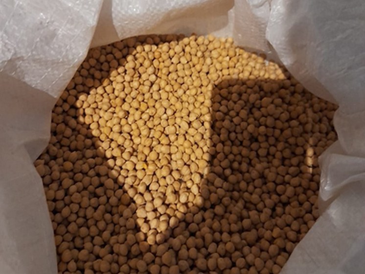 Из района Башкирии в Турцию отправили 88 тонн нута