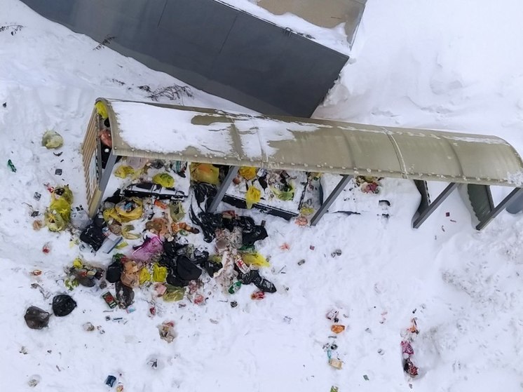 Жителей Южно-Сахалинска беспокоит вывоз мусора