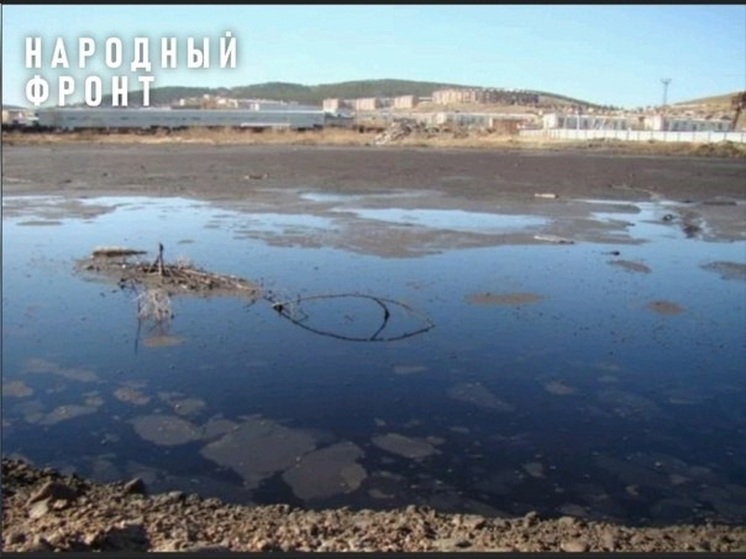 ОНФ в Бурятии заявил об искусственном затягивании ликвидации фенольного озера