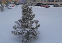В столицу Сибири возвращаются морозные ночи