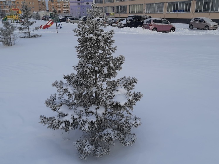 Морозные дни возвращаются в Новосибирск