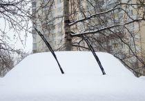 Руководитель прогностического центра «Метео» Александр Шувалов предупредил жителей России о нервозной погоде и возможных погодных сюрпризах в феврале