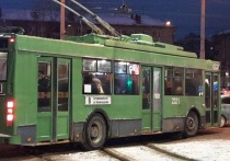 В Новосибирске из-за сильных морозов в троллейбусе перестала открываться одна из дверей