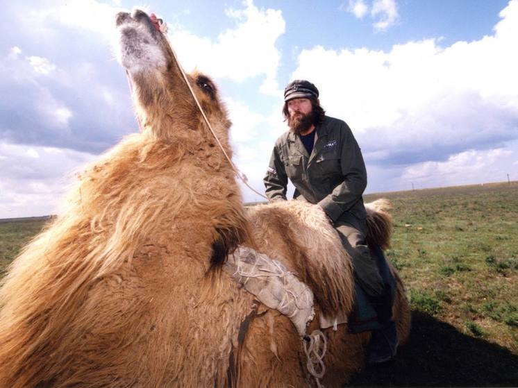 Конюхов намерен пересечь на верблюдах ОАЭ за две недели