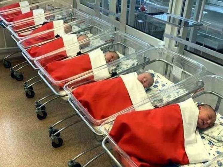 В ЖАО Курска в прошлом году родилось 264 мальчика и 252 девочки